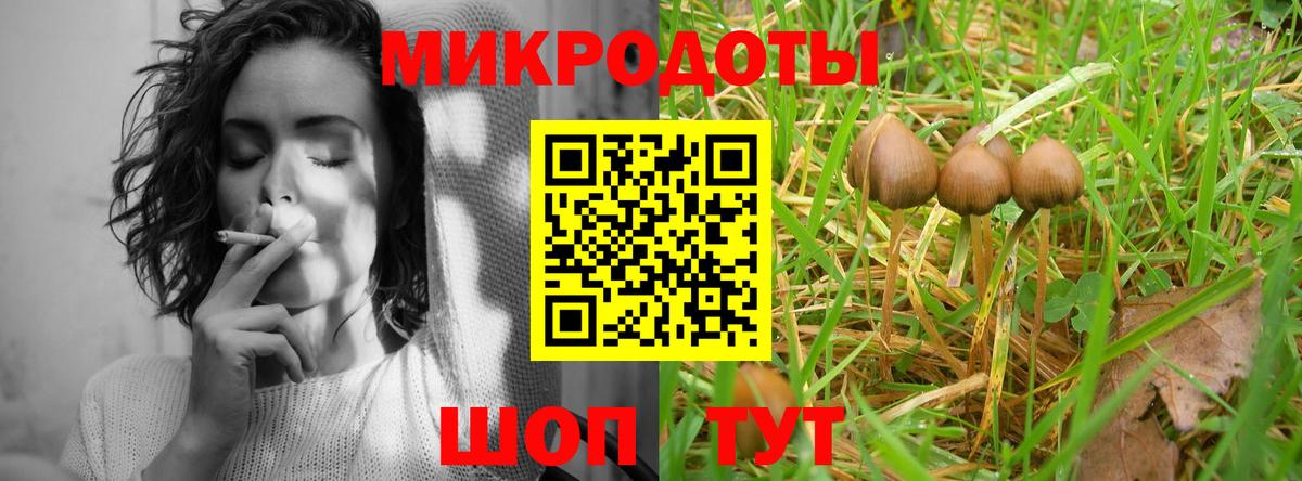 Галлюциногенные грибы GOLDEN TEACHER Бор